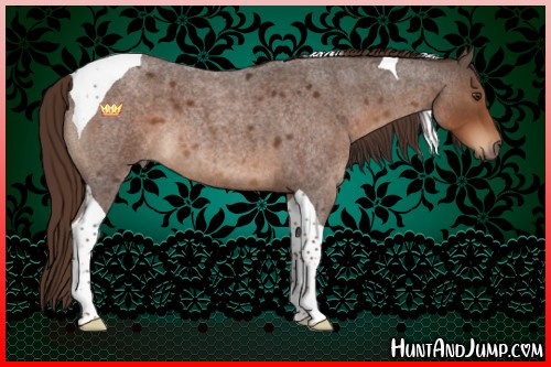 Horse Color:Liver Red Roan Tobiano 