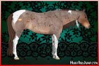 Horse Color:Liver Red Roan Tobiano 
