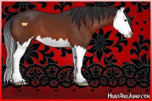 Horse Color:Brown Sabino Splash 