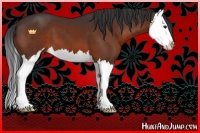 Horse Color:Brown Sabino Splash