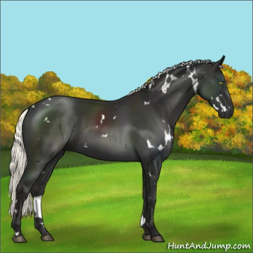 Horse Color:White Spotted Liver Chestnut Mushroom 