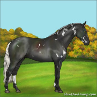 Horse Color:White Spotted Liver Chestnut Mushroom 