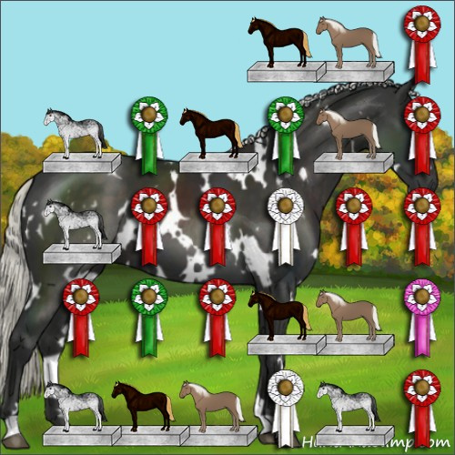 Horse Color:White Spotted Liver Chestnut Mushroom 