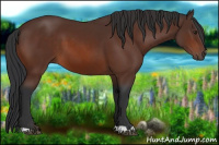 Horse Color:Brown 