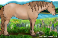 Horse Color:Brown Pearl