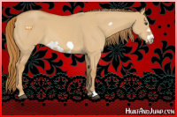 Horse Color:Red Dun Frame 