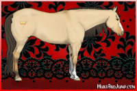 Horse Color:Buckskin Dun 