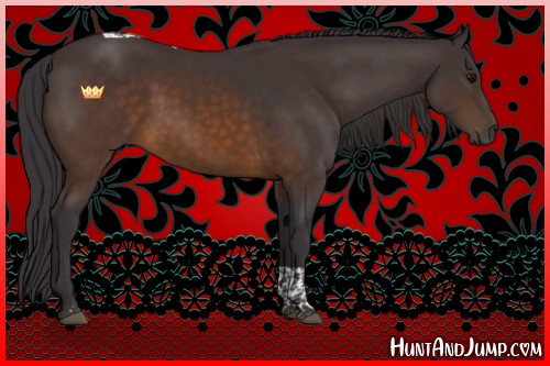 Horse Color:Buckskin Tobiano Rabicano 
