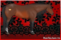 Horse Color:Bay Tobiano Rabicano 