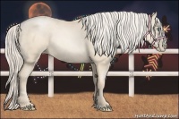 Horse Color:Gold Cream Champagne Pearl