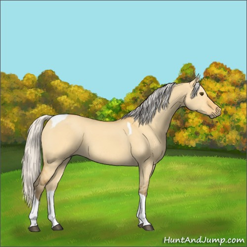 Horse Color:Silver Buckskin Dun Tobiano