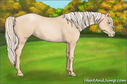 Horse Color:Palomino Pearl