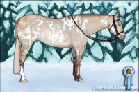 Horse Color:Gold Champagne Frame  and Silver Bay Dun 