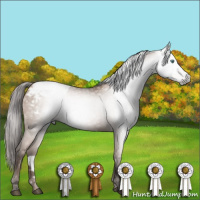 Horse Color:Gray Black Pearl Appaloosa