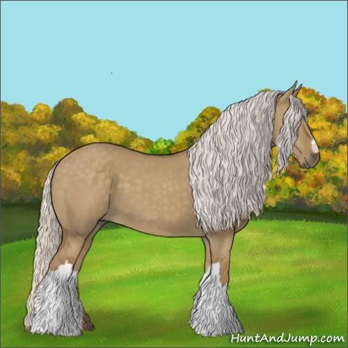 Horse Color:Silver Smoky Grullo 