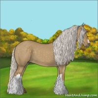 Horse Color:Silver Smoky Grullo 