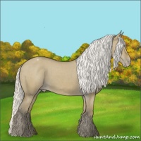 Horse Color:Silver Smoky Grullo Appaloosa 