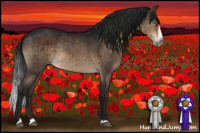 Horse Color:Gray Brown Dun Mushroom Splash Brindle