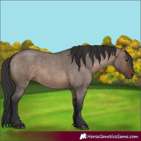 Horse Color:Brown Roan Dun 