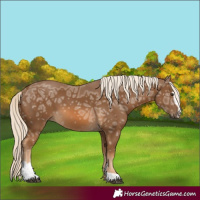 Horse Color:Chocolate Palomino Ice Sabino 