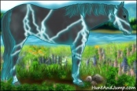 Horse Color:Thunderstruck Black 