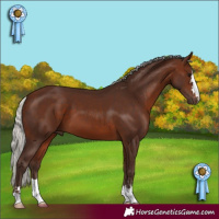 Horse Color:Silver Brown 