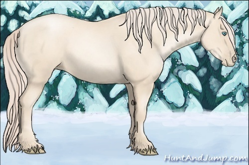 Horse Color:Gold Cream Champagne Pearl