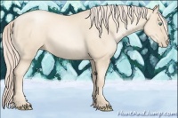 Horse Color:Gold Cream Champagne Pearl 