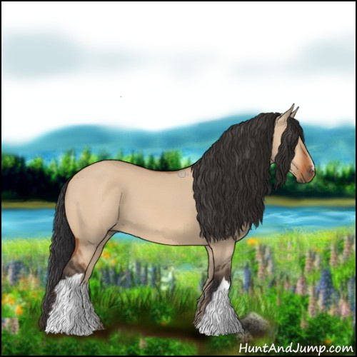 Horse Color:Bay Dun