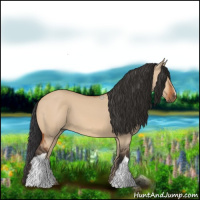 Horse Color:Bay Dun