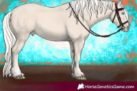 Horse Color:Cremello 