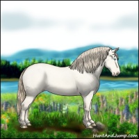Horse Color:Perlino Dun