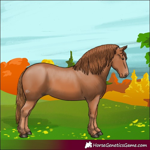 Horse Color:Chestnut 