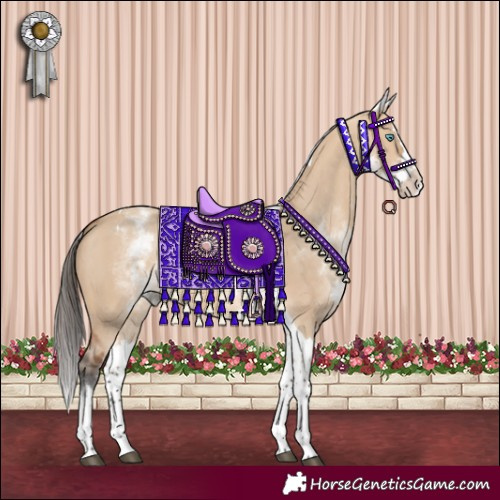Horse Color:White Spotted Bay Dun Splash Tobiano