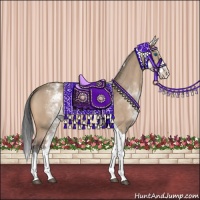 Horse Color:White Spotted Bay Dun Splash Tobiano 