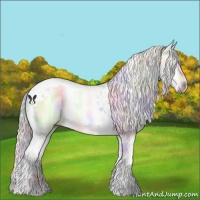 Horse Color:Nacre Chocolate Palomino Chinchilla Ice Onyx Tobiano Rabicano 