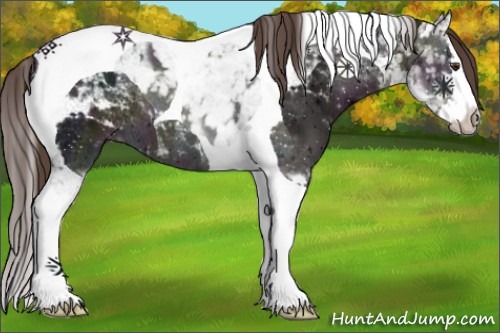 Horse Color:Midnight Liver Chestnut Ice Splash Tobiano 