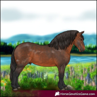 Horse Color:Brown 