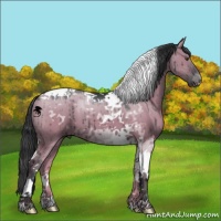 Horse Color:Grullo Chinchilla Tobiano Brindle 