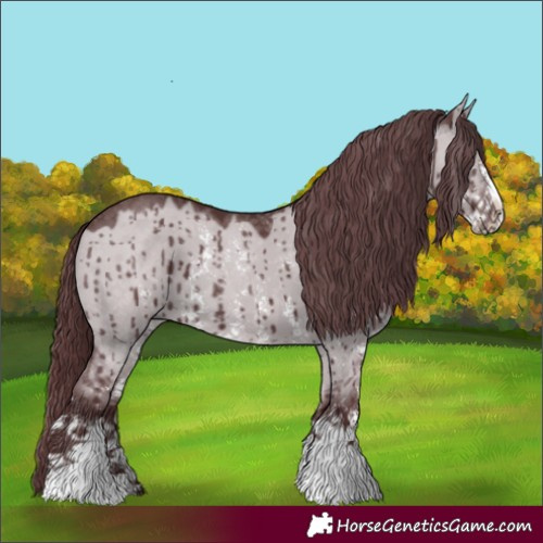 Horse Color:Chocolate Grullo Chinchilla Sabino Brindle 