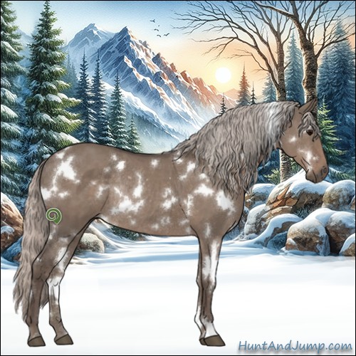 Horse Color:White Spotted Silver Grullo Rabicano
