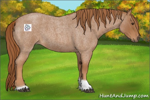 Horse Color:Red Roan Tobiano 