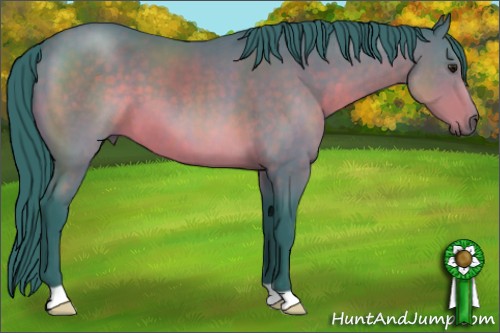 Horse Color:Watercolor Brown 