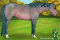 Horse Color:Watercolor Brown 