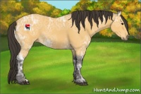 Horse Color:Buckskin Ice 