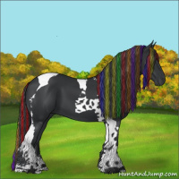 Horse Color:Painted Black Tobiano 