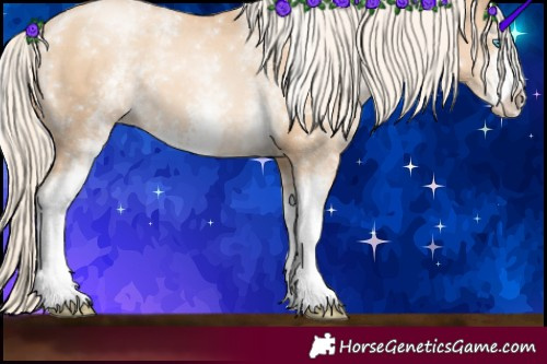 Horse Color:White Spotted Gold Cream Champagne Pearl Sabino 