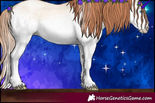 Horse Color:White Spotted Sable Champagne Pearl Dun Sabino Rabicano 