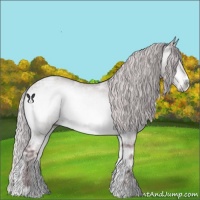 Horse Color:Chocolate Silver Brown Chinchilla Ice Onyx Sabino 