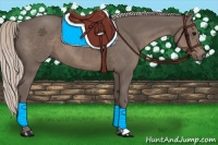 Horse Color:Silver Black 